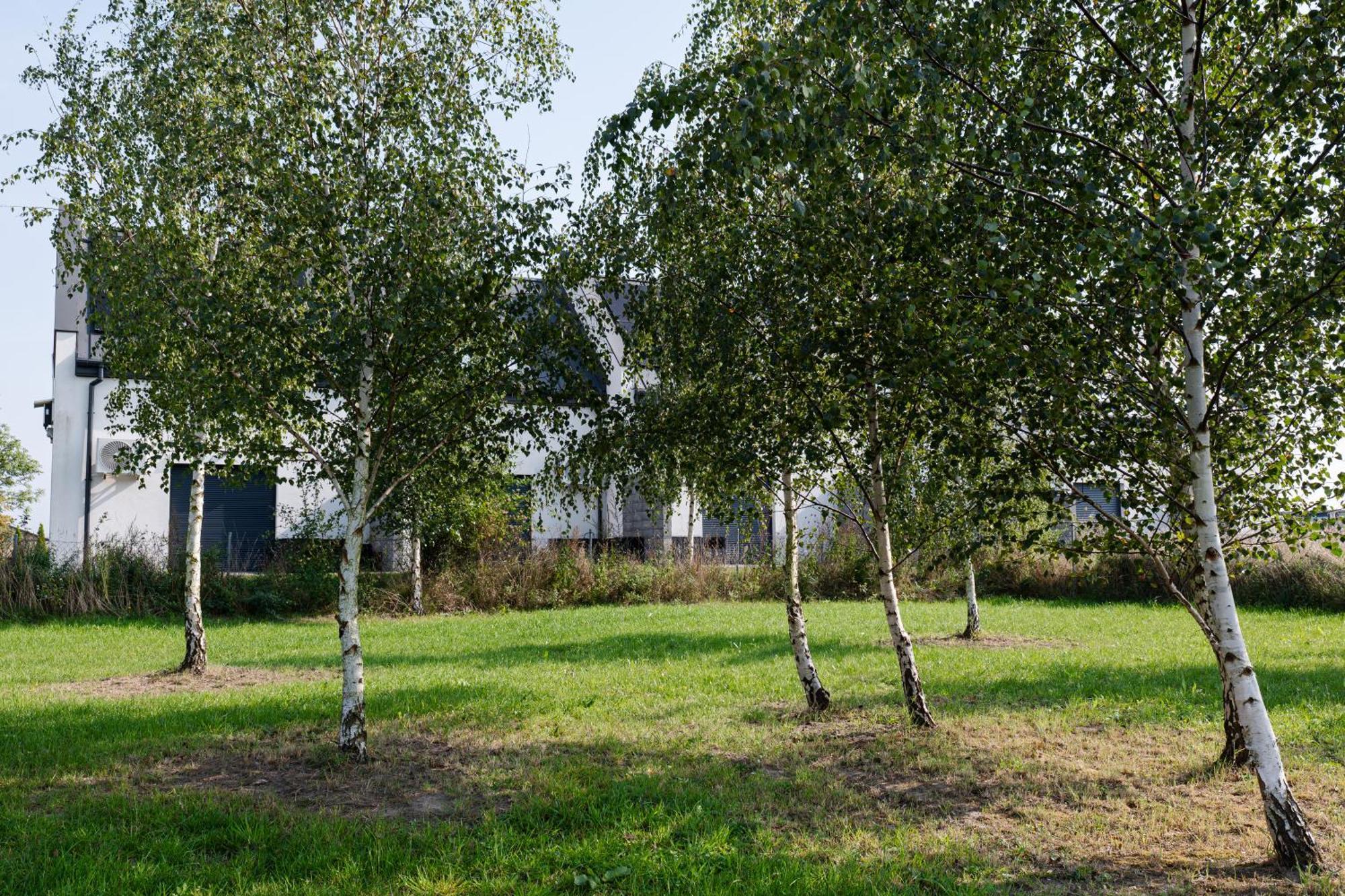 Nowe Apartamenty Ostoja - Nad Baltykiem - Cisza I Piekno Natury Zastan 外观 照片